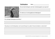 Arbeitsblatt-Streifengans-1.pdf